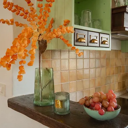 Silene Holiday home *
